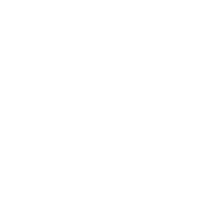 new relic