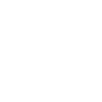 wiz